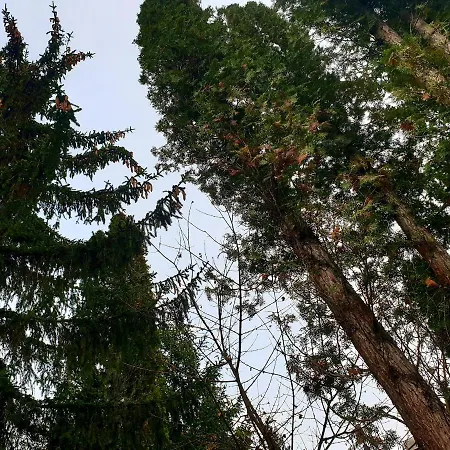 Egig Ero Fa Vendeghaz بيت للعطل *