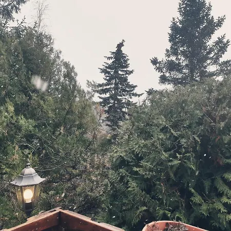 Egig Ero Fa Vendeghaz Nograd