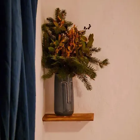 Egig Ero Fa Vendeghaz