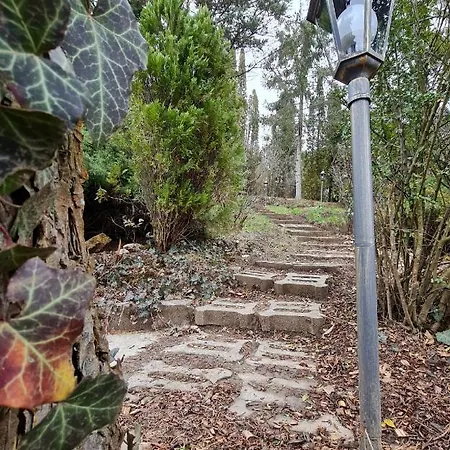 Egig Ero Fa Vendeghaz * Nograd