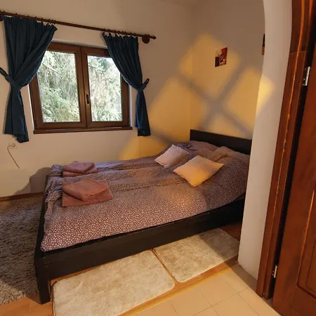 égig érő Fa * Nograd