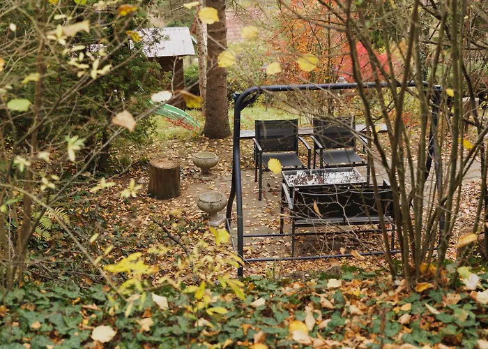 égig érő Fa Casa vacanze *