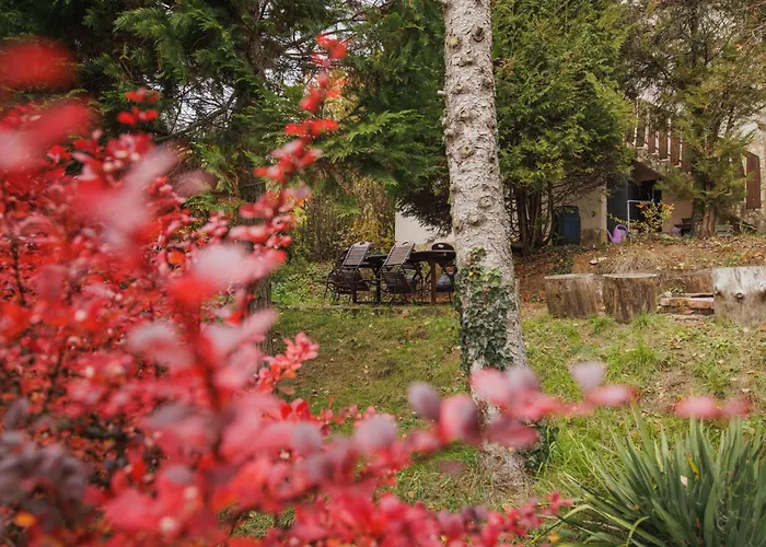 égig érő Fa Casa vacanze