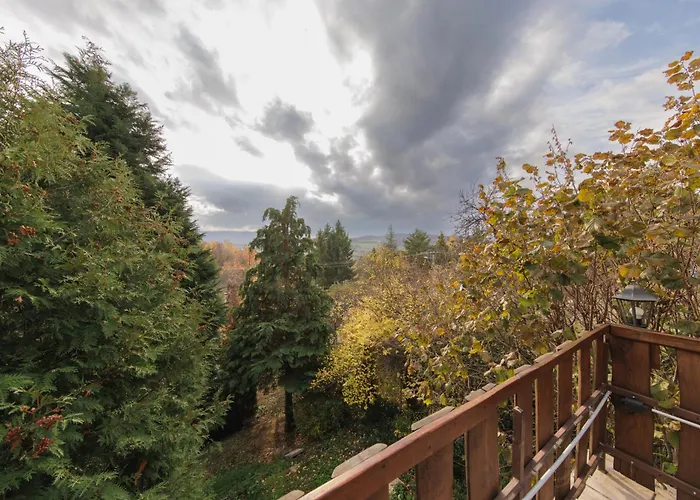 Casa vacanze égig érő Fa Nograd
